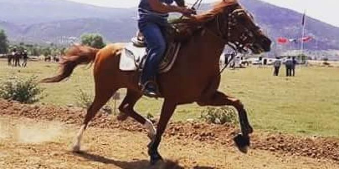 Pistte Devrilen Atın Altında Kalan Jokeyin Ölümü Camiayı Yasa Boğdu