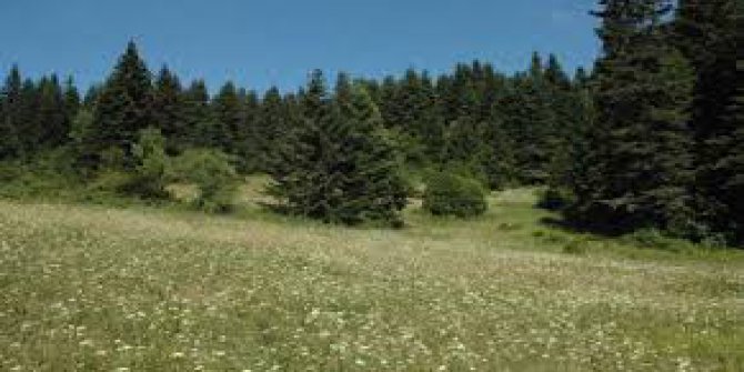 Göynük Alanköy Köyü