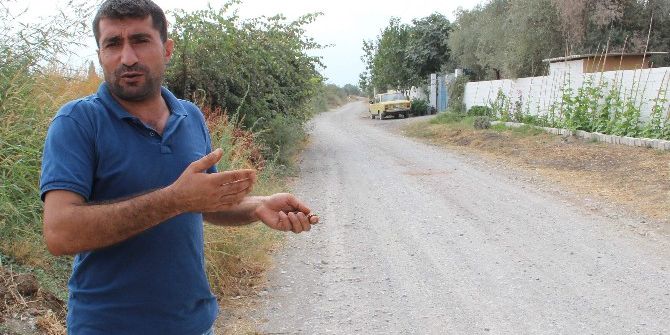 Velilerin Servis Çilesi