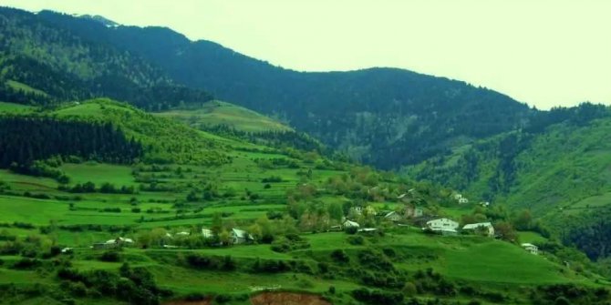 Şiran Araköy Köyü