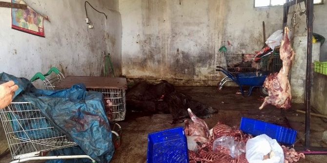 Domuz Eti Satısının İhbar Ettiği Sucuk Temiz Çıktı