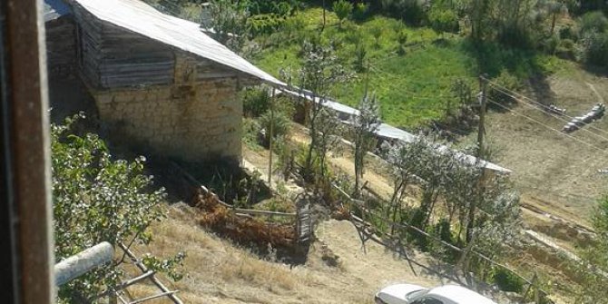 Şiran Bolluk Köyü