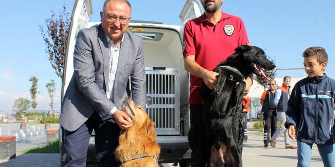 Fosfor Ve İvan Zehir Tacirlerinin Kâbusu Oldu