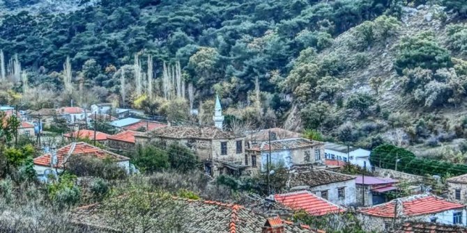 Ayvacık Babadere Köyü