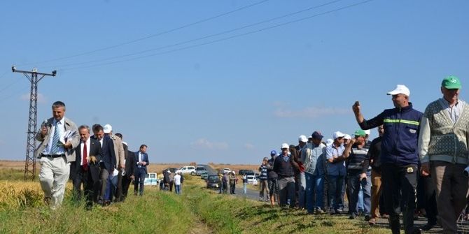 Hayrabolu’da Çeltik Demonstrasyonu