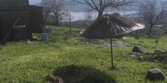 Ayvacık Dibekli Köyü