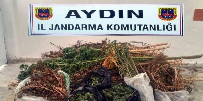 Baba Ve Oğlunun Evlerinden 9 Kilo Esrar Çıktı