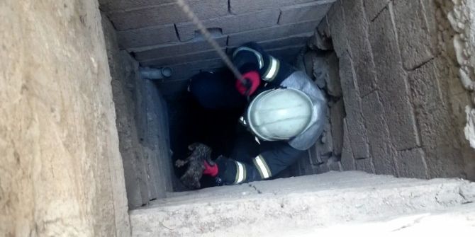 35 Metrelik Kuyudan Yavru Kediyi Kurtardılar