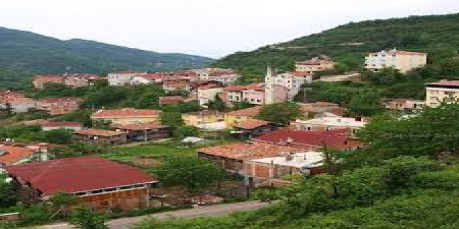 Cide Çataloluk Köyü