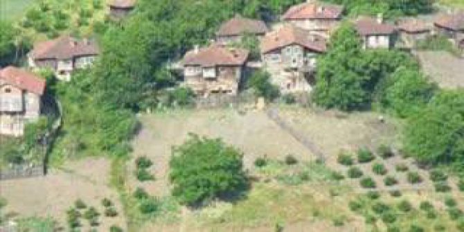 Cide Çilekçe Köyü