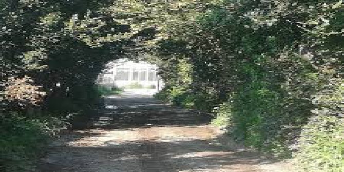 Cide Gündoğan Köyü