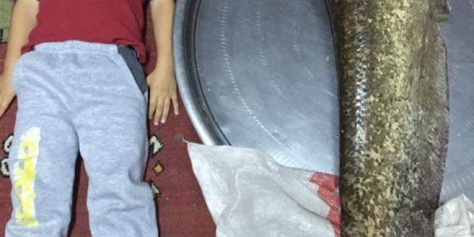 Denizli’de 130 Santim Uzunluğunda Yayın Balığı Yakalandı