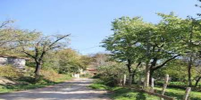 Cide Güzelyayla Köyü