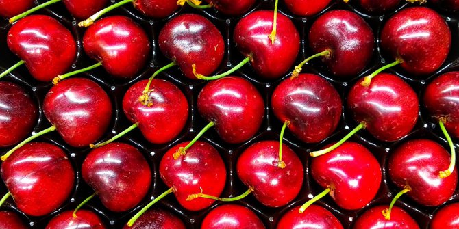 Kiraz Fiyatları Dibe Vurdu, Üretici Tepkili