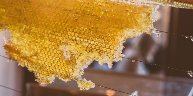 Tarım Bakanı’ndan ‘Bal’ Mesajı