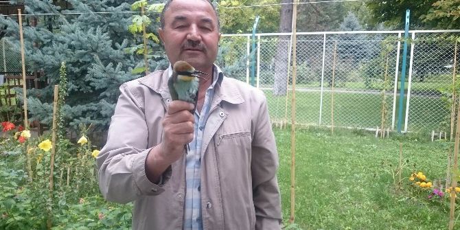 Yaralı Arı Kuşuna Erciyes Üniversitesi Sahip Çıktı