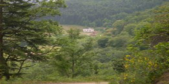 Çatalzeytin Arıca Köyü