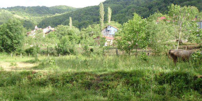 Çatalzeytin Aşağısökü Köyü