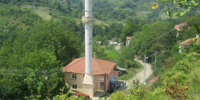 Çatalzeytin Canlar Köyü