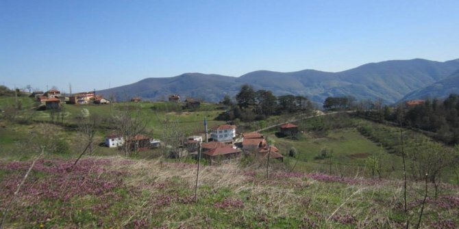 Çatalzeytin Çepni Köyü