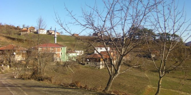 Çatalzeytin Fındıklı Köyü