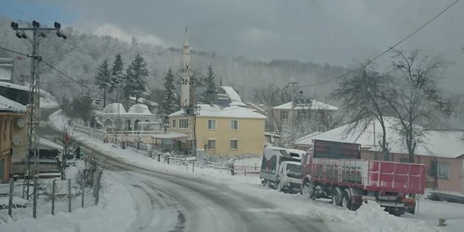 Çatalzeytin Hamidiye Köyü