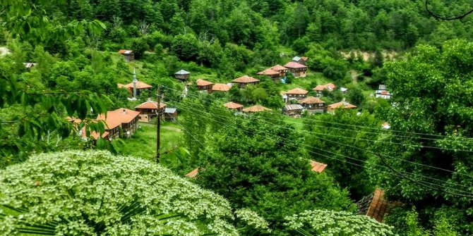 Çatalzeytin Karacakaya Köyü
