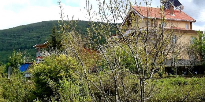 Çatalzeytin Kaşlıca Köyü