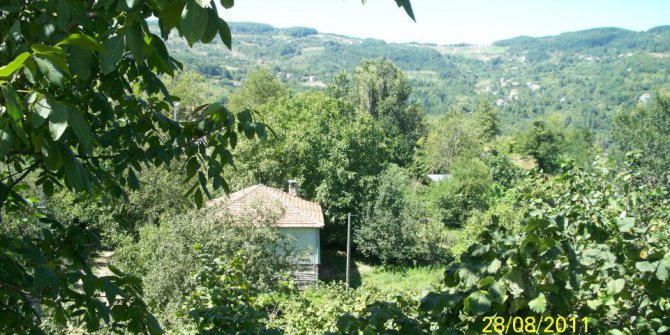 Çatalzeytin Köklüce Köyü