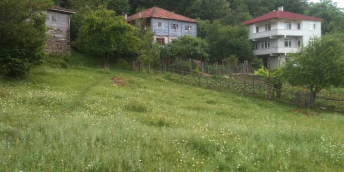 Çatalzeytin Saraçlar Köyü