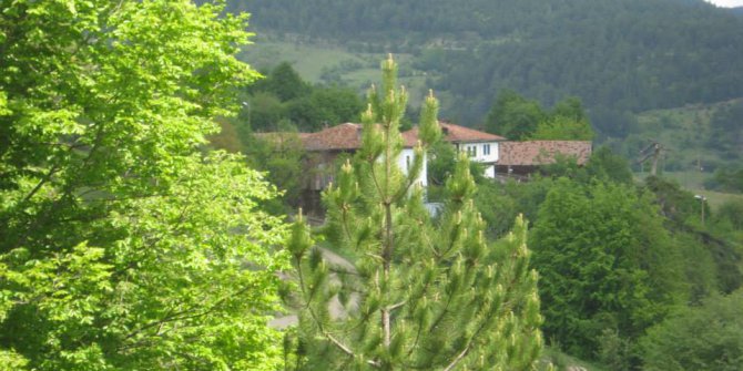 Daday Dereözü Köyü