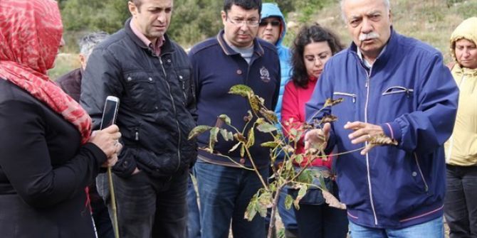 5 Bin Köye 5 Bin Orman Projesi Başladı