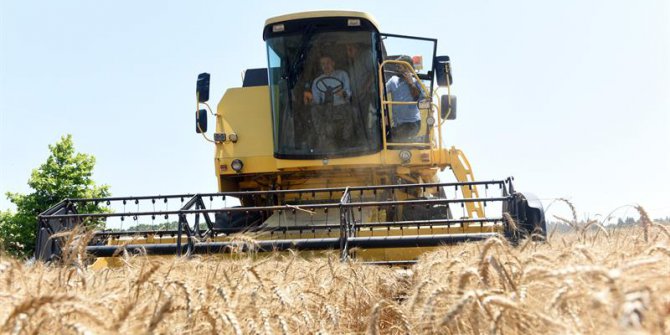 Bakan Pakdemirli Buğday Hasadı Yaptı