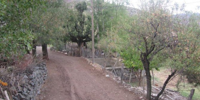 Alacakaya Sularbaşı Köyüp