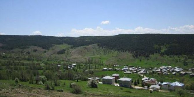 Karakoçan Akçiçek Köyü