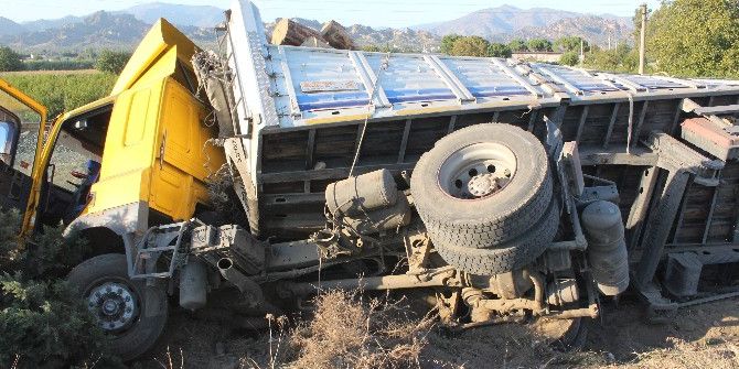 Minik Arı Yüklü Tır’ı Yoldan Çıkardı
