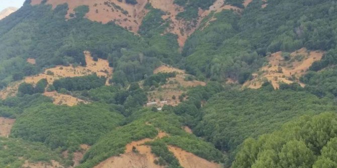 Karakoçan Bazlama Köyü