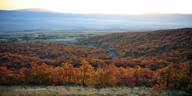 Karakoçan Çamardı Köyü