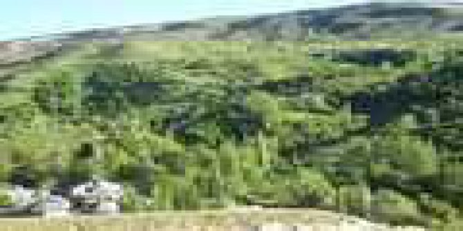 Karakoçan Çelebi Köyü