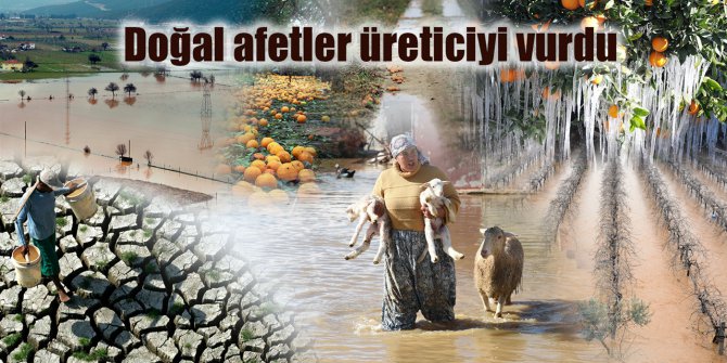 573 Milyonluk Çiftçi Hasarı Değerlendirmede