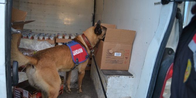 “Çaba” Ve “İbre” İş Başında