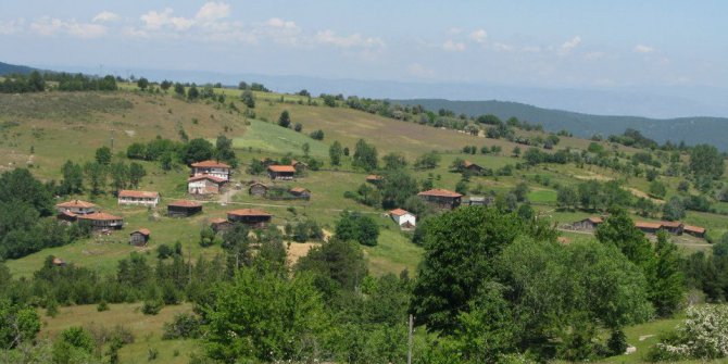 Taşköprü Bozarmut Köyü