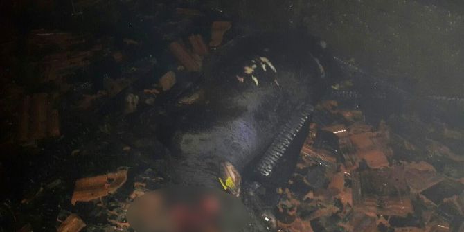 Malatya’da Korkutan Yangın: 2 İnek Telef Oldu