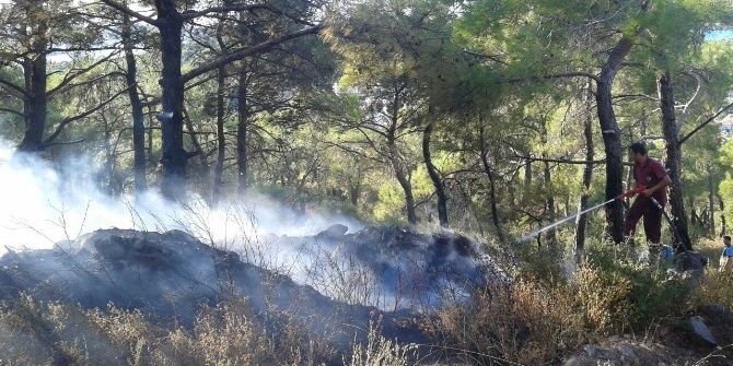 Maytap İle Oynayan Çocuklar Orman Yangını Çıkardı