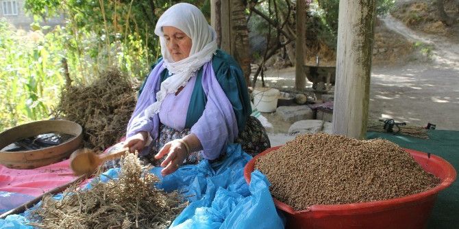 Hakkari’de Kış Hazırlığı