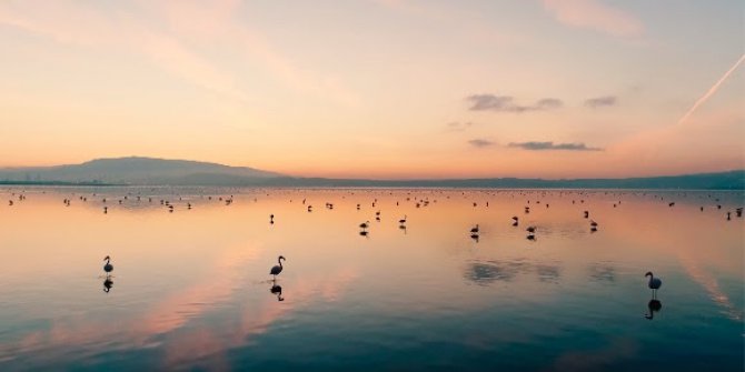 Tarkan’dan Gediz Deltası’nın Unesco Dünya Doğa Mirası Olması İçin Destek