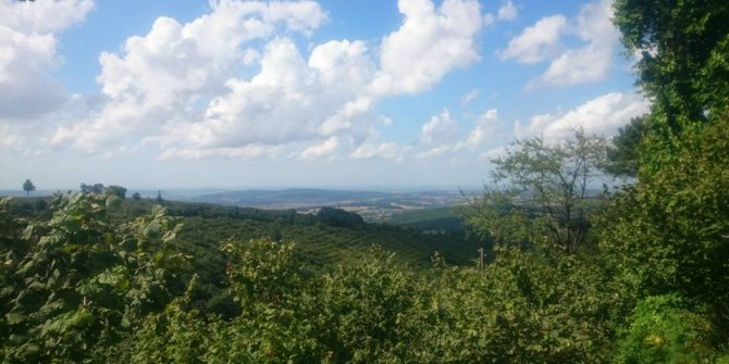 Bafra Darboğaz Köyü