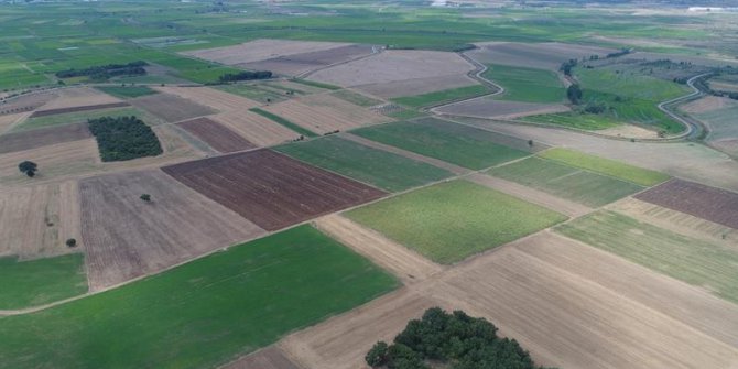 Güneydoğu’da 400 Köyde Arazi Birleştirme Çalışmaları Bitti