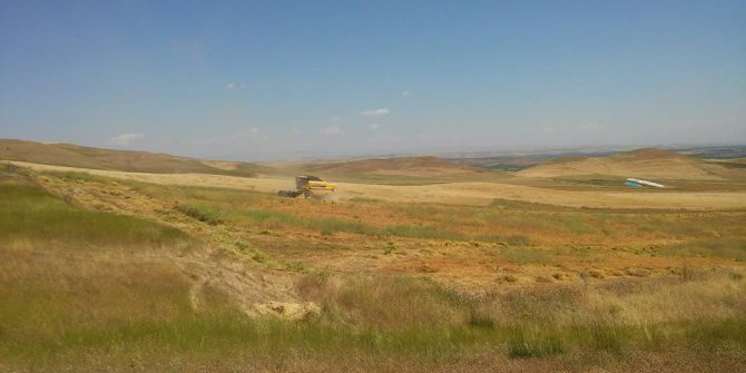 Bismil Akköy Köyü