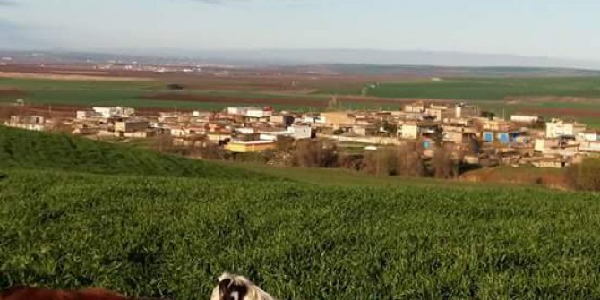 Bismil Bakacak Köyü